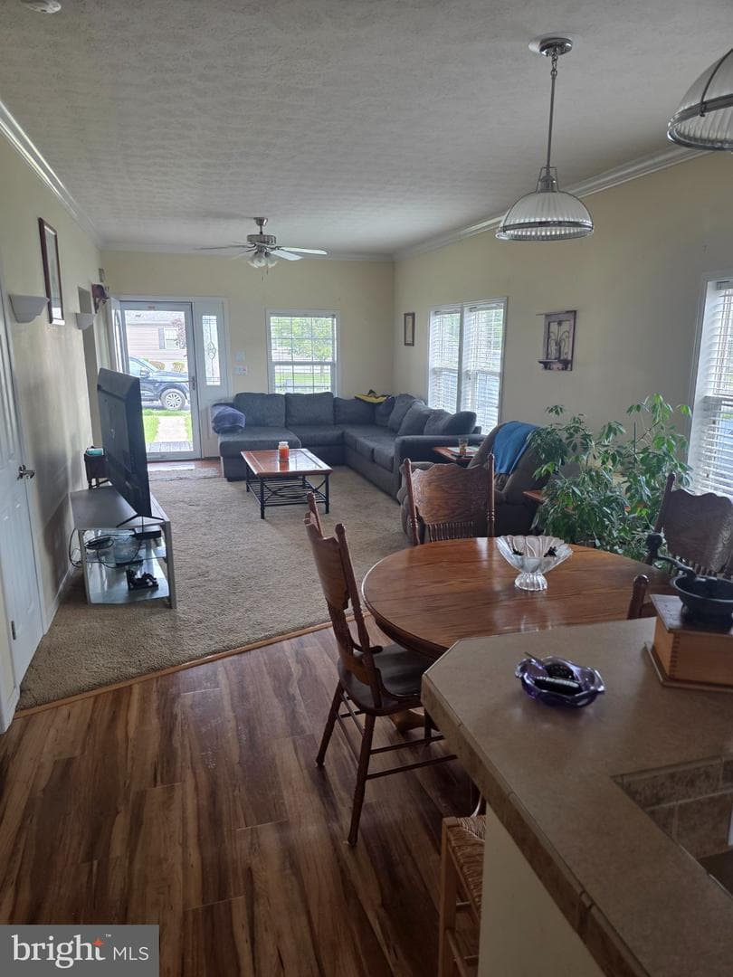 502 Falcon Dr photo 4