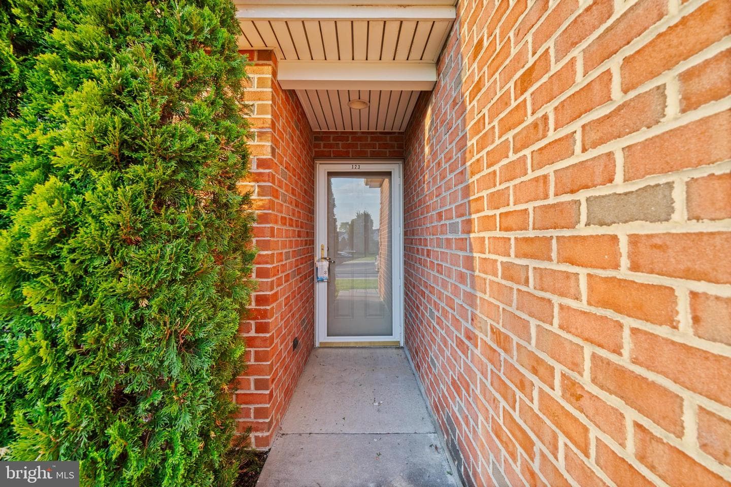 123 Blackbird Lane photo 5