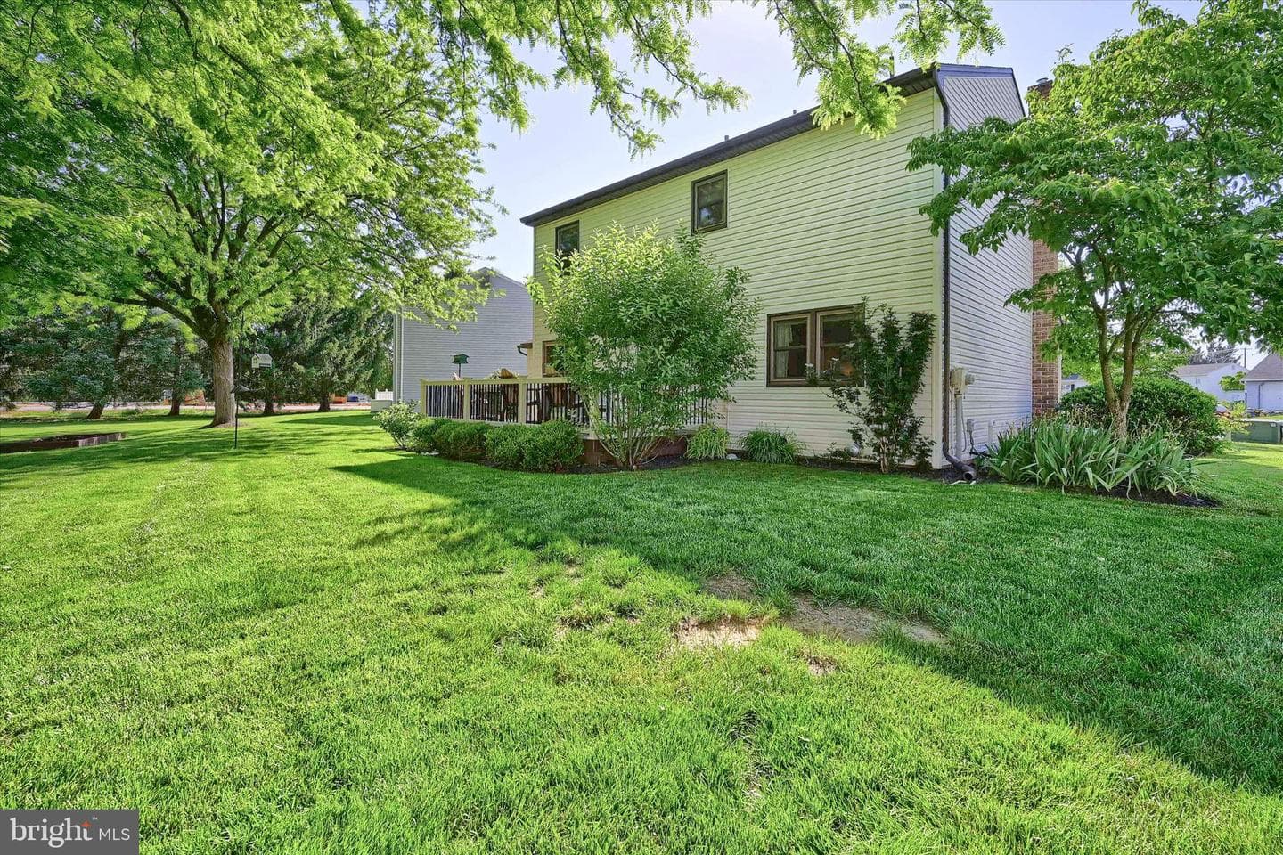 10 Matthew Court photo 39