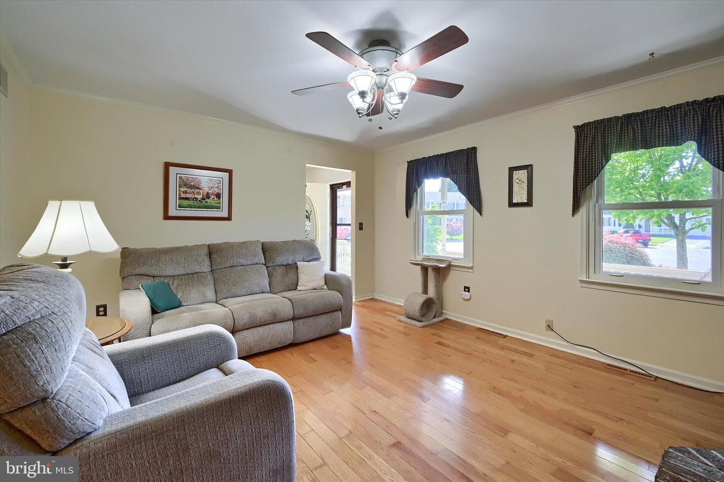 10 Matthew Court photo 9