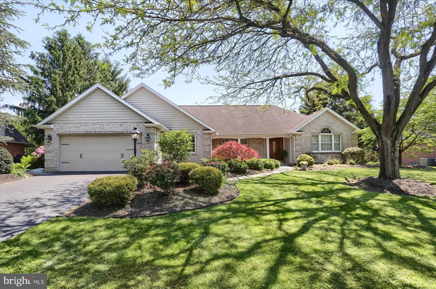 1207 White Birch Lane