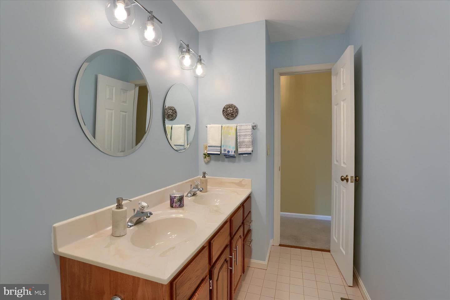 1207 White Birch Lane photo 36
