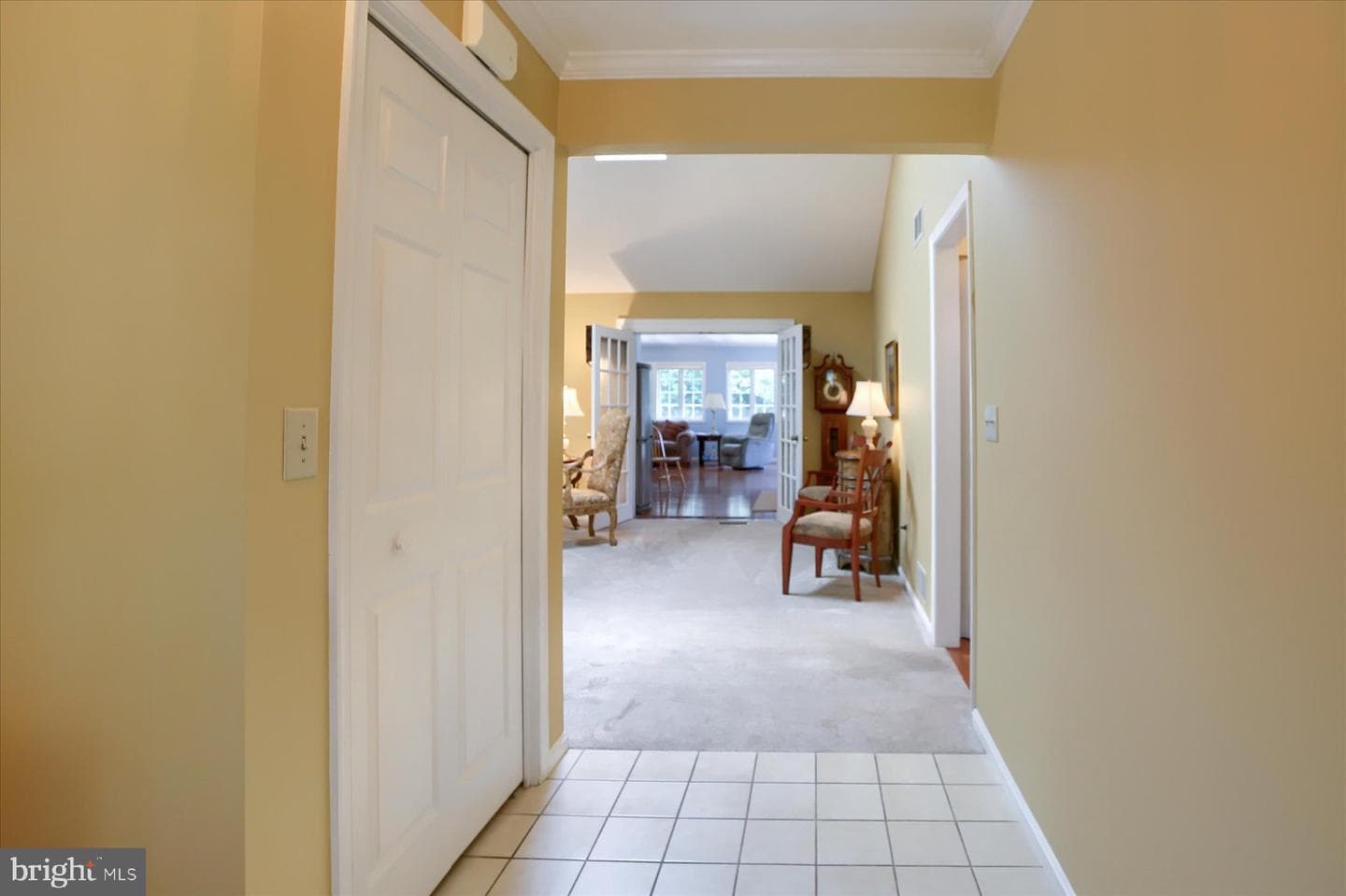 1207 White Birch Lane photo 5