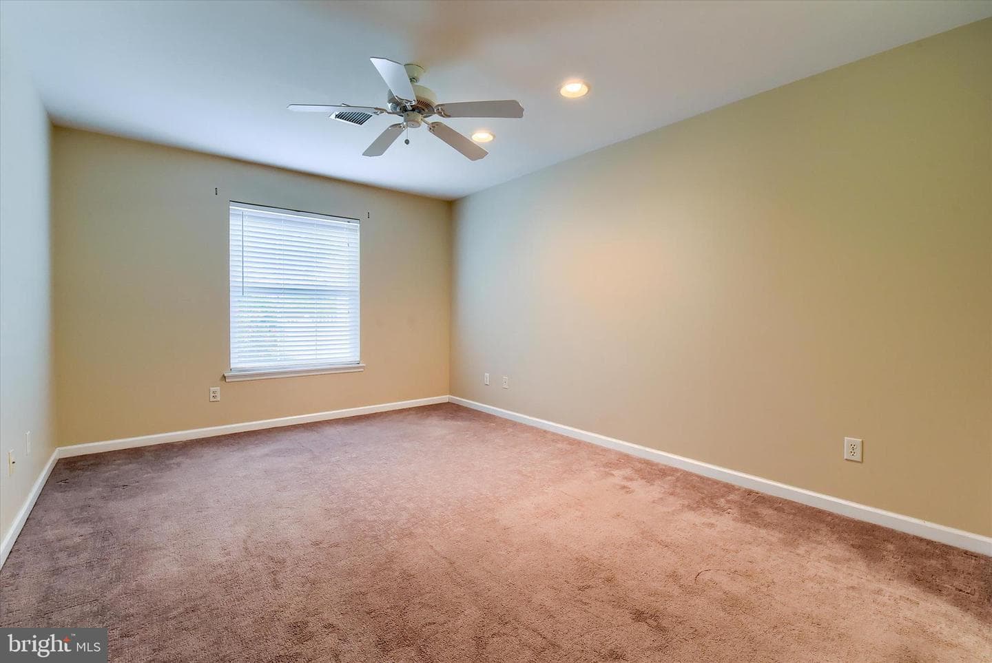 38 Ridgeway Drive photo 20