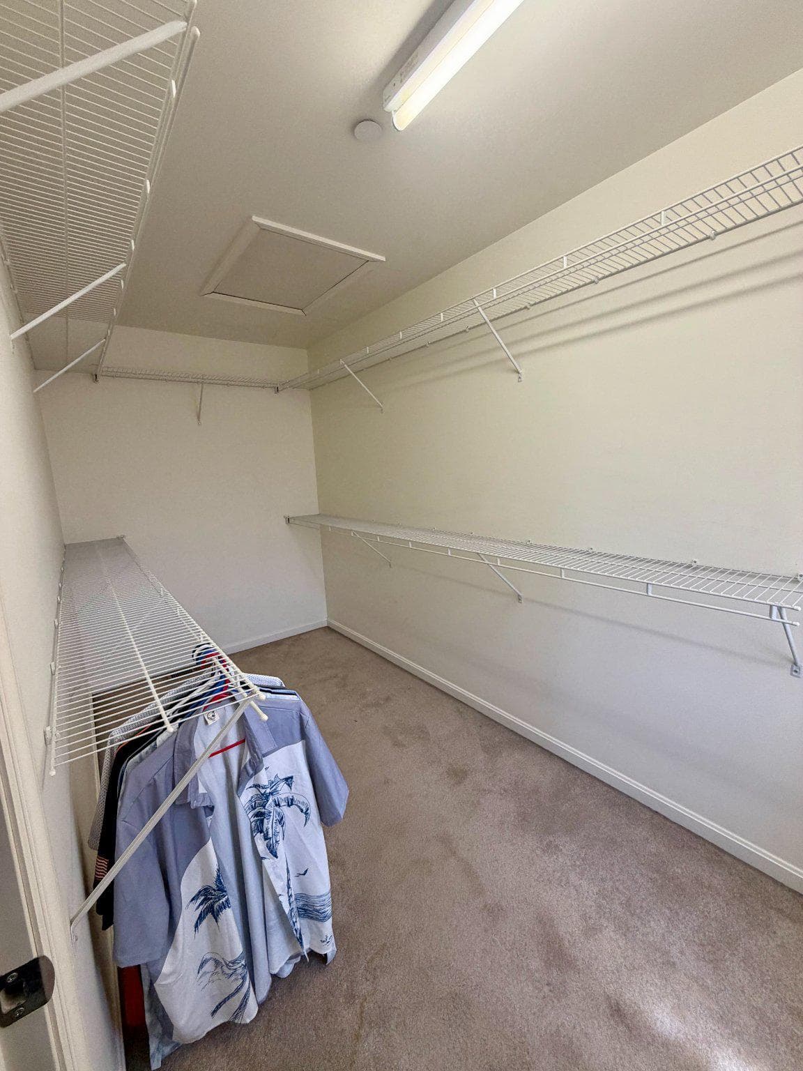 222 Chester Road photo 17