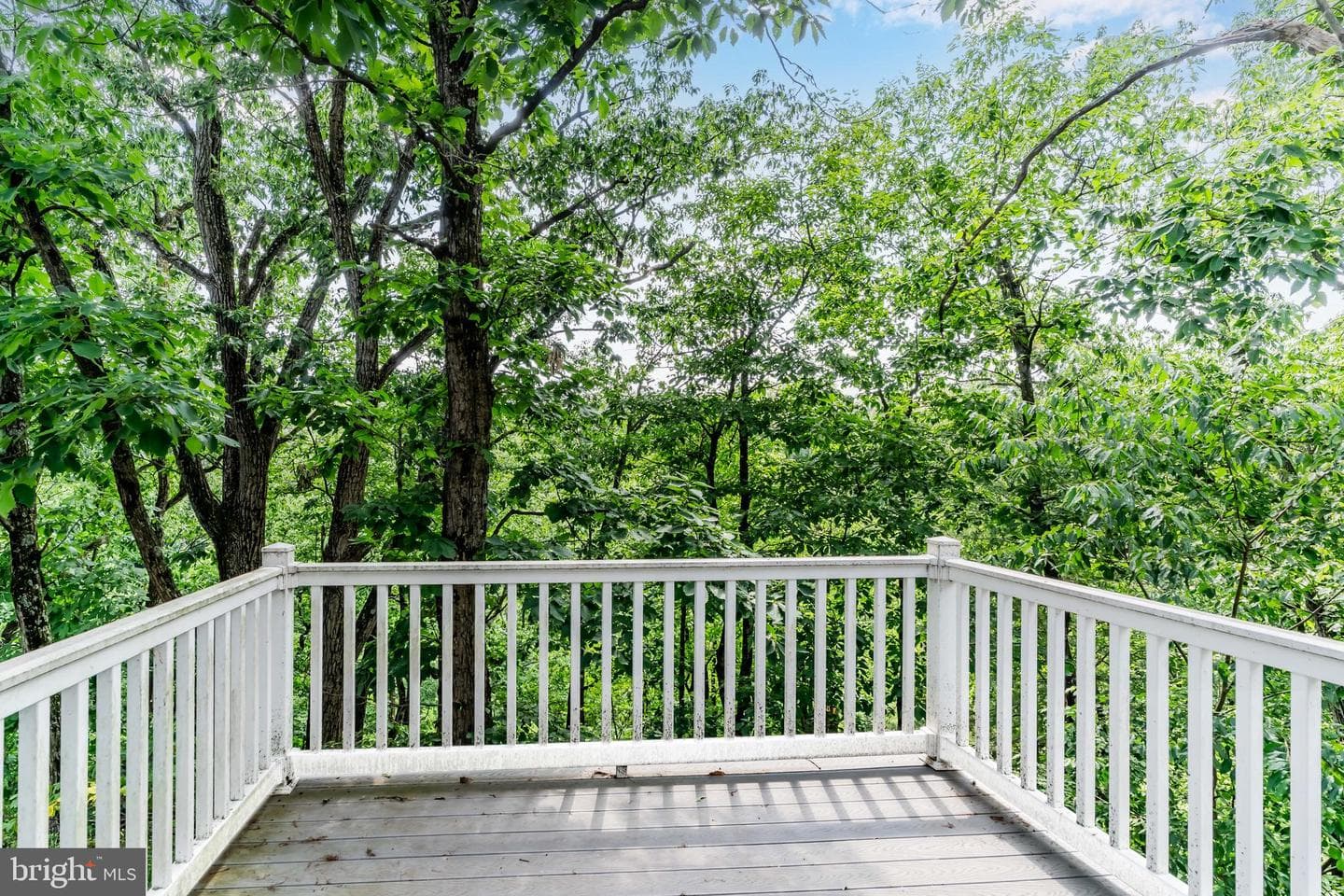 329 Briar Ridge Circle photo 10