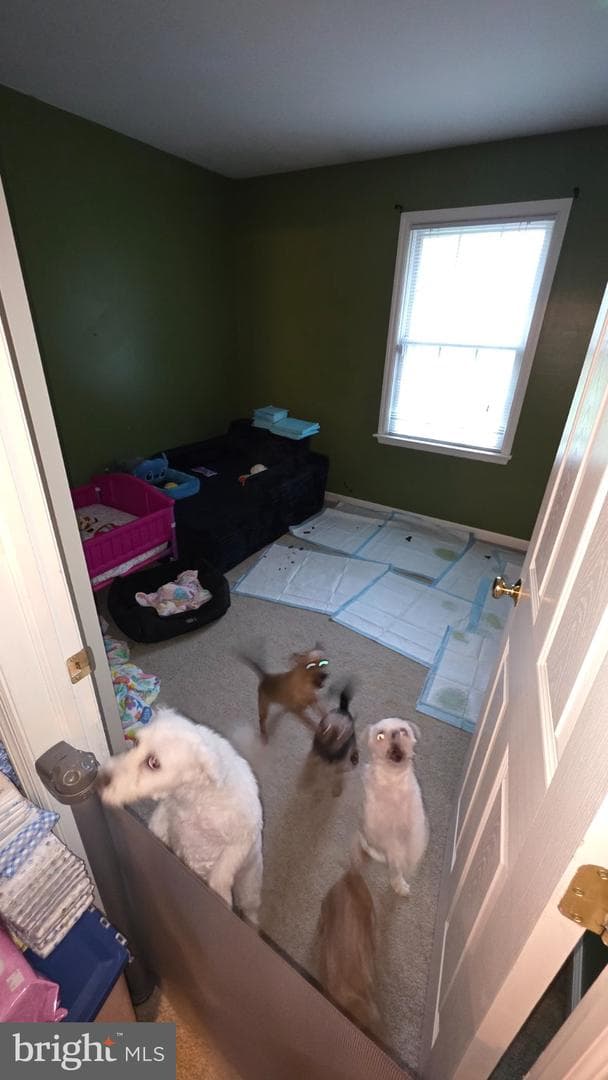 57 Keefer Way photo 17