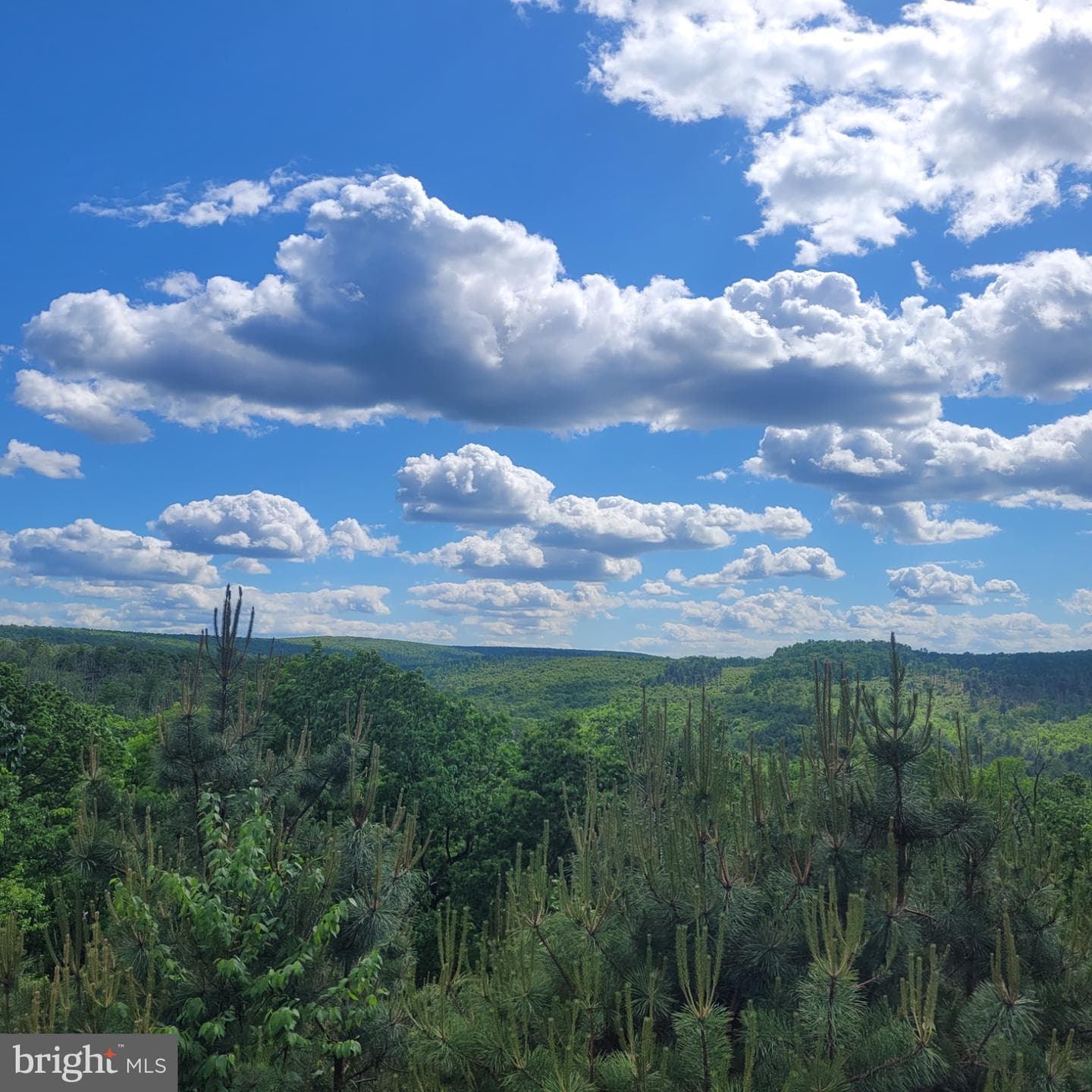 729 High Mountain Road photo 44