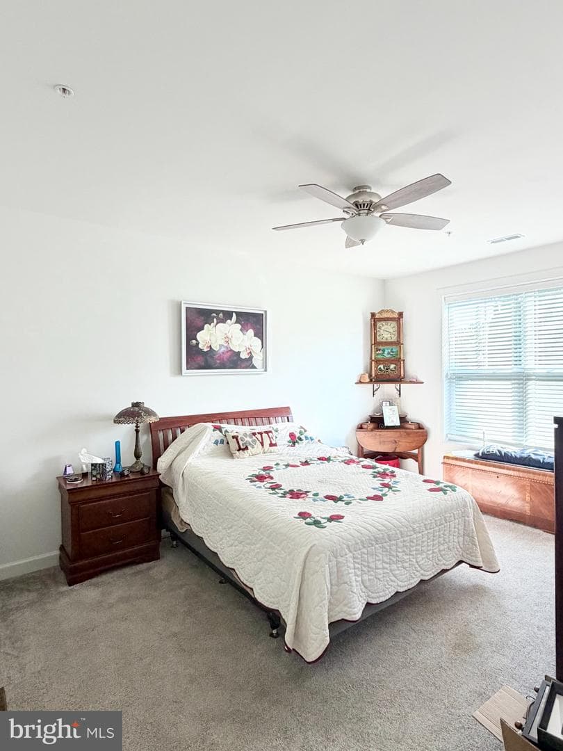 134 Stephenson Road photo 15