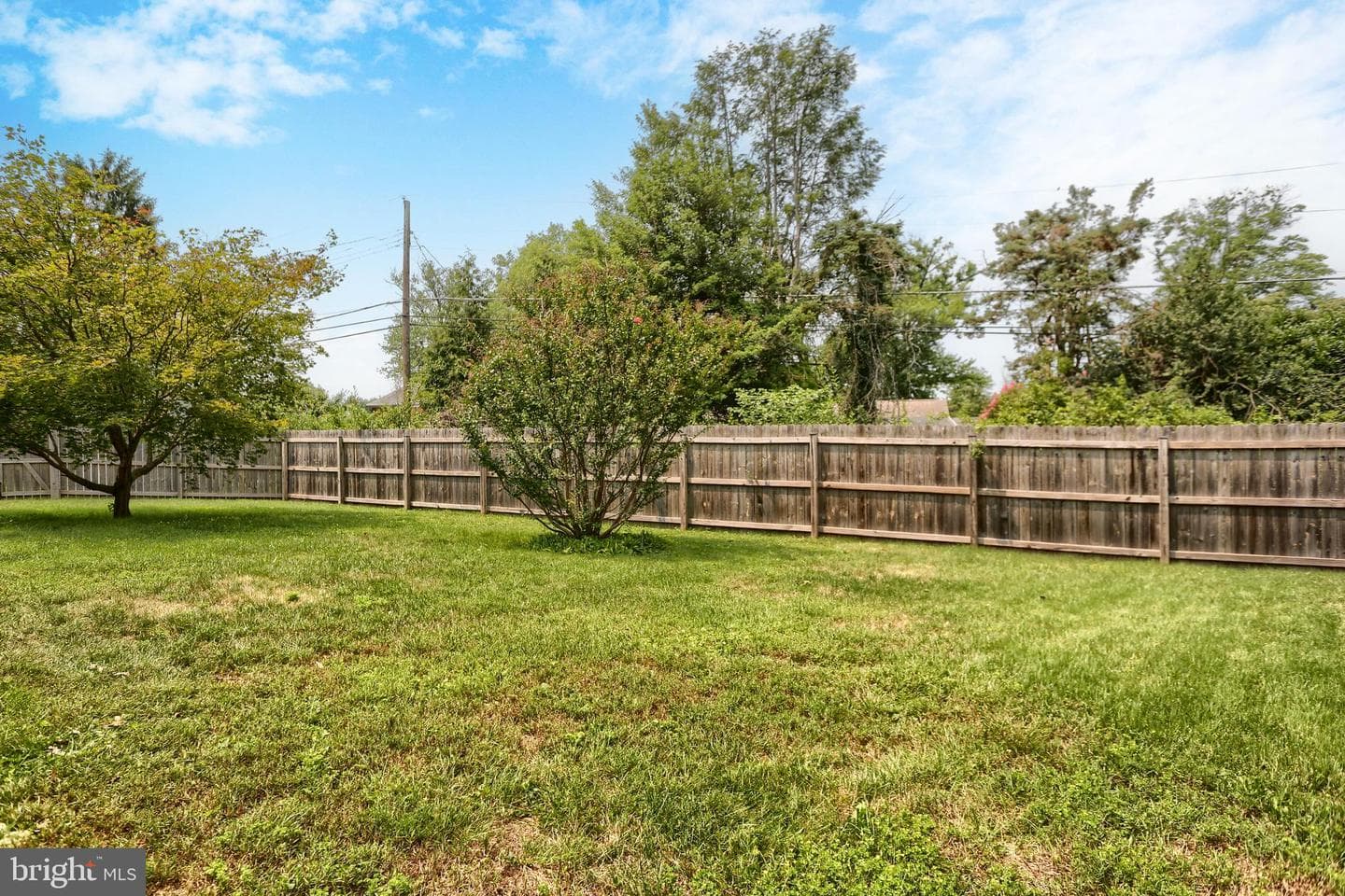 26 Amherst Drive photo 33