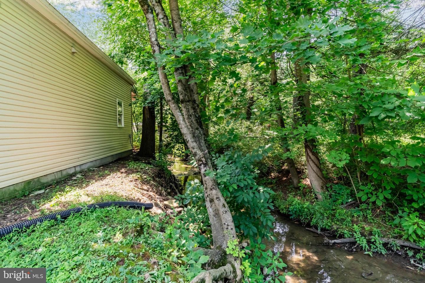 69 Pine Hill Road photo 23