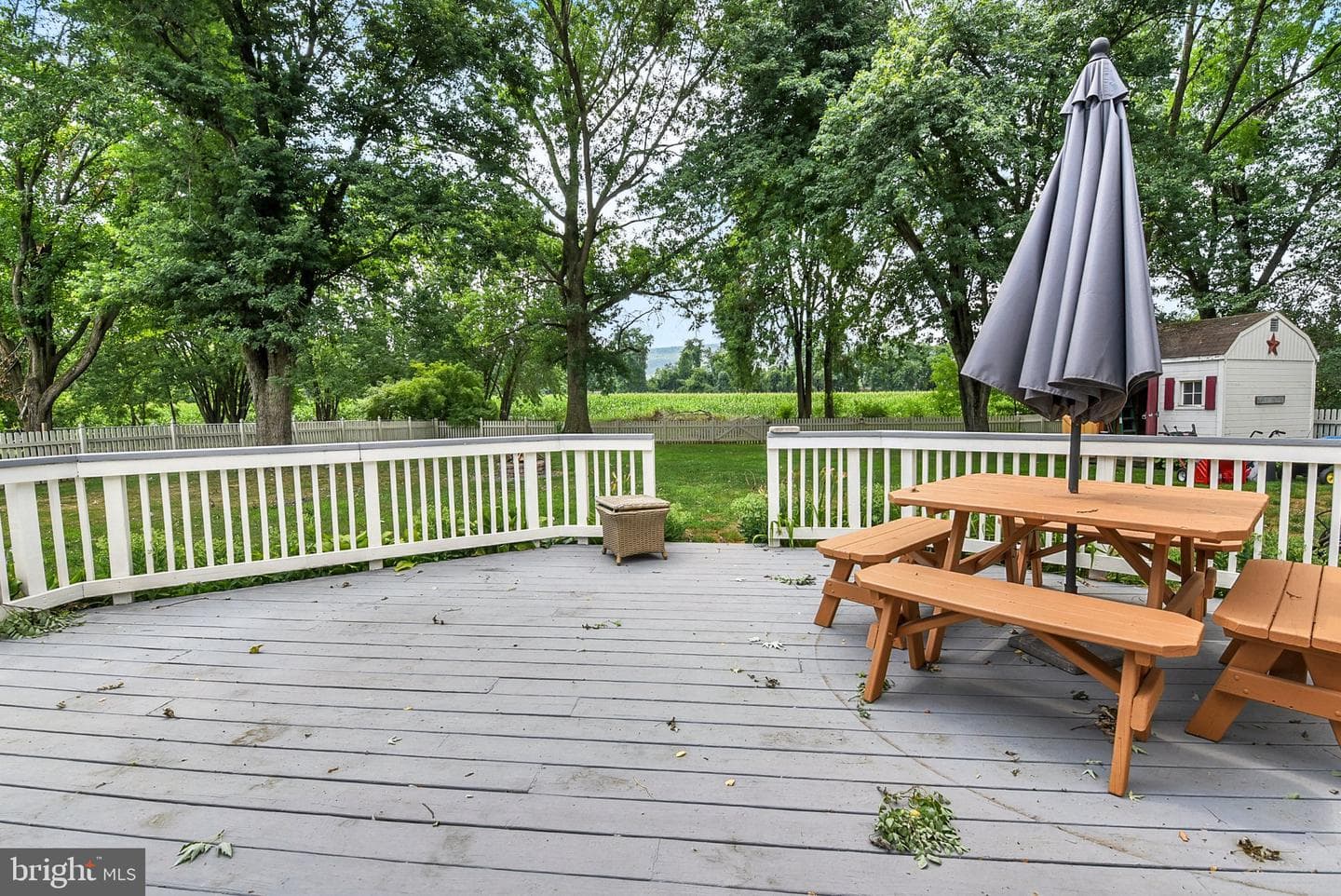 405 Pine Road photo 25