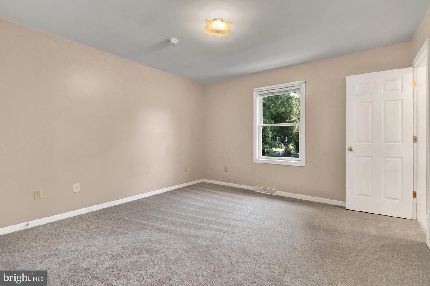 100 Fern Avenue photo 19