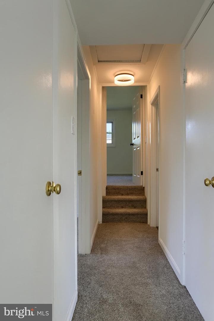 204 S Locust Street photo 23