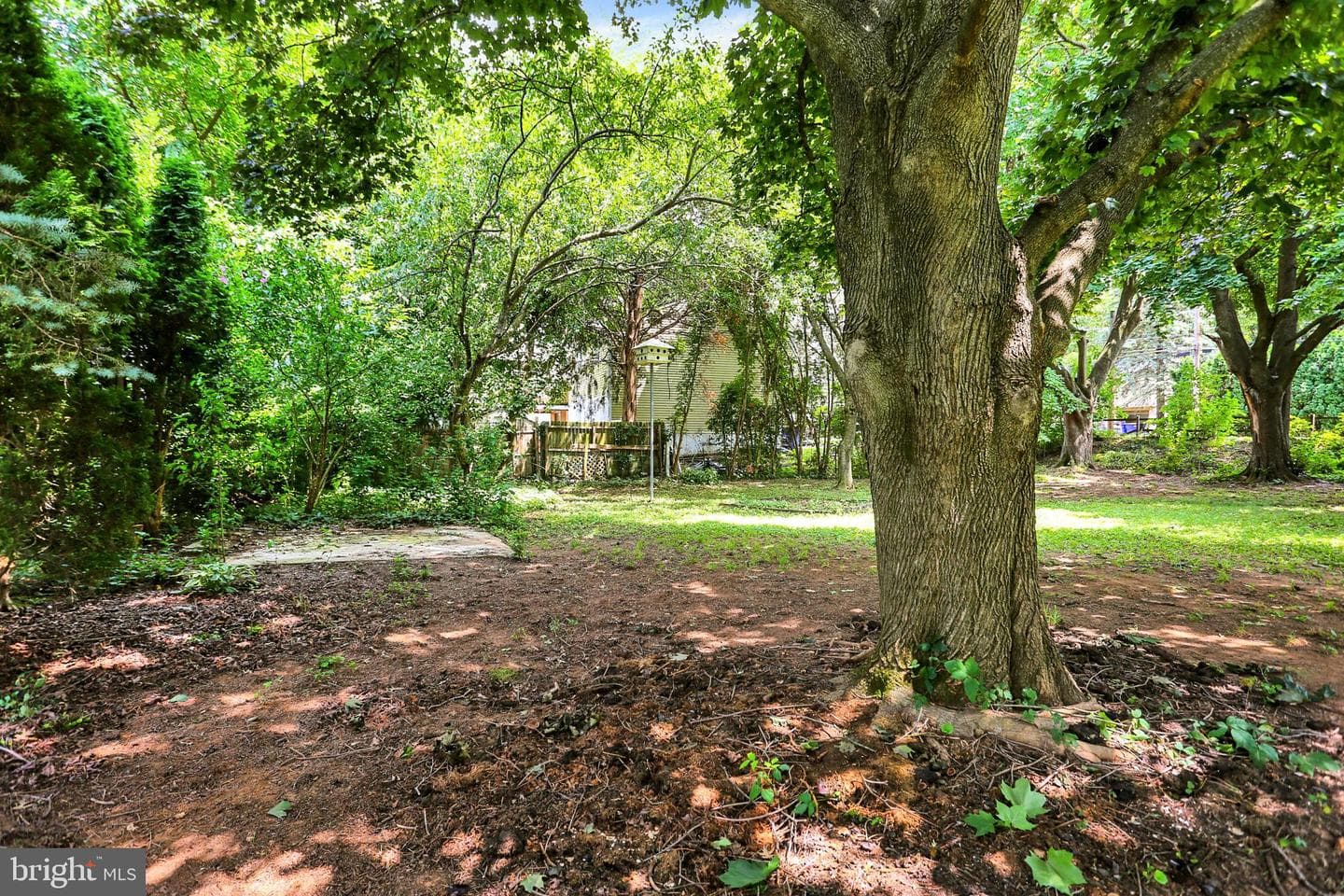 1 E Woodland Drive photo 41