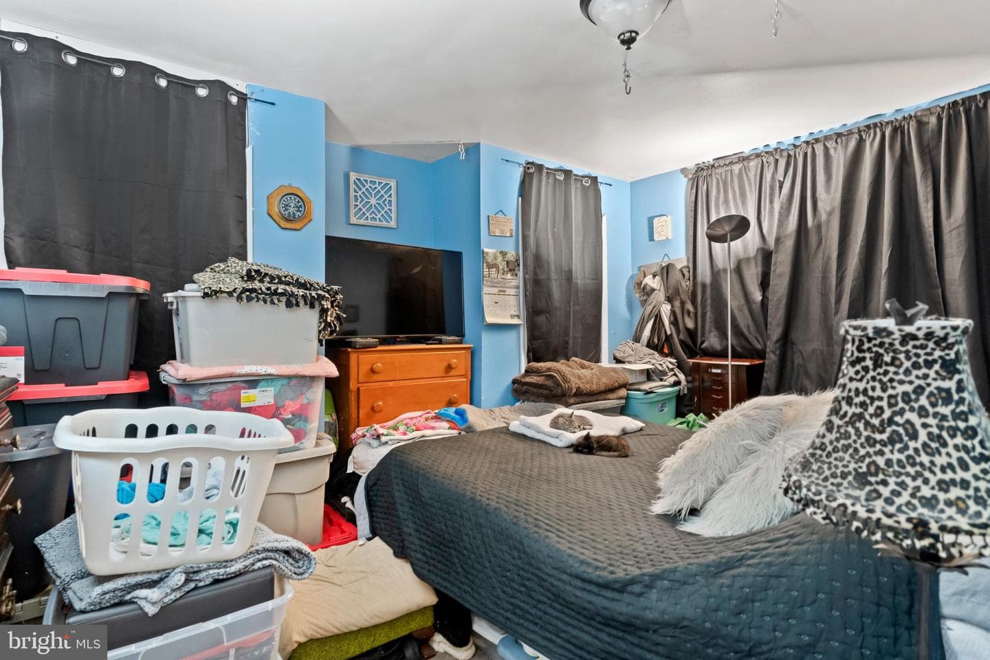 532 Pine Road photo 15