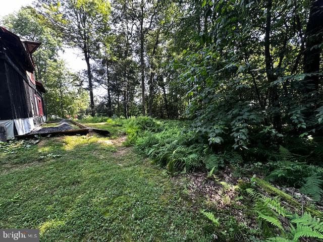 538 Two Mile Road photo 10