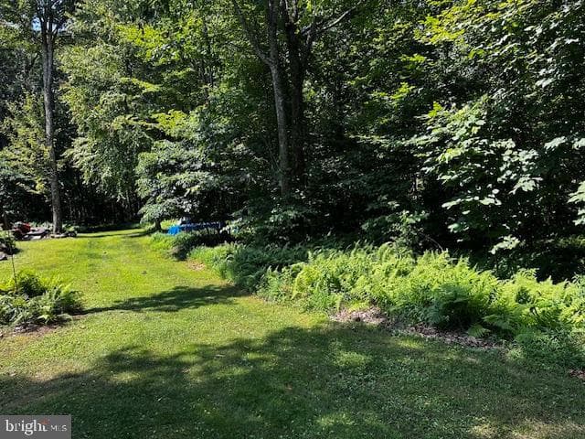 538 Two Mile Road photo 12