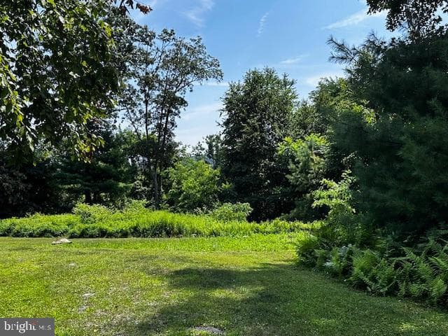 538 Two Mile Road photo 16