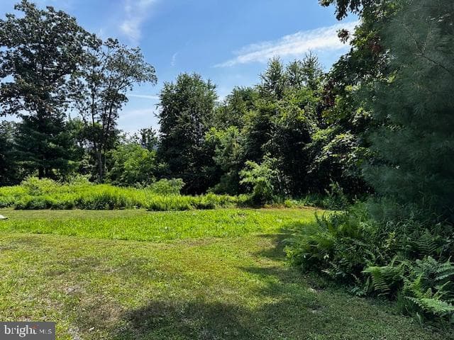 538 Two Mile Road photo 17