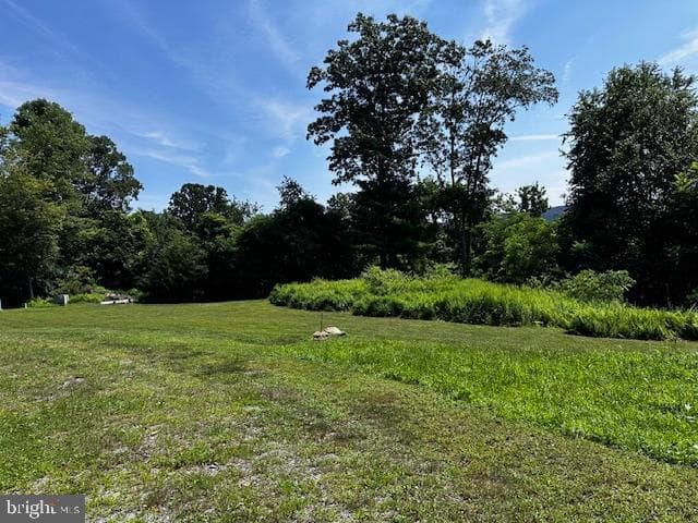 538 Two Mile Road photo 18
