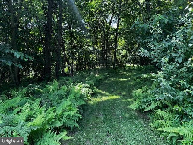 538 Two Mile Road photo 19