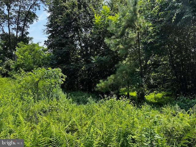 538 Two Mile Road photo 21