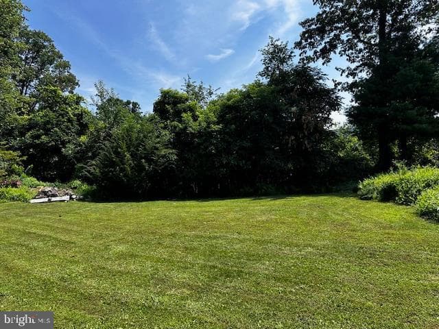 538 Two Mile Road photo 23
