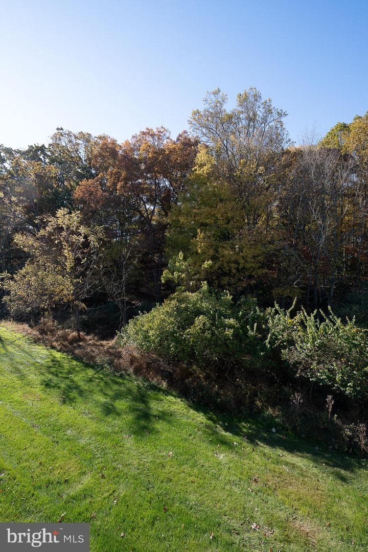 347 Astilbe Drive photo 13