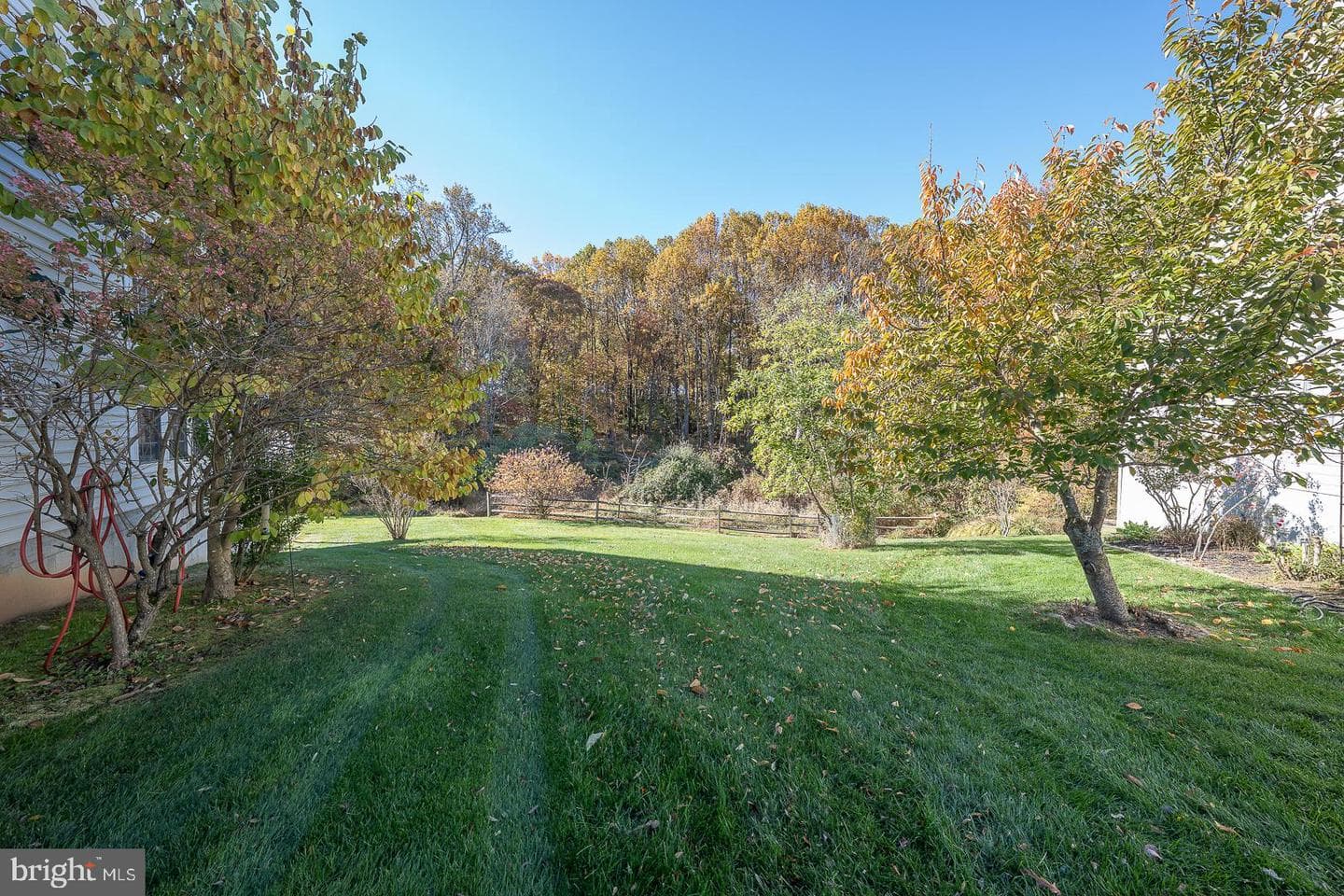 347 Astilbe Drive photo 51