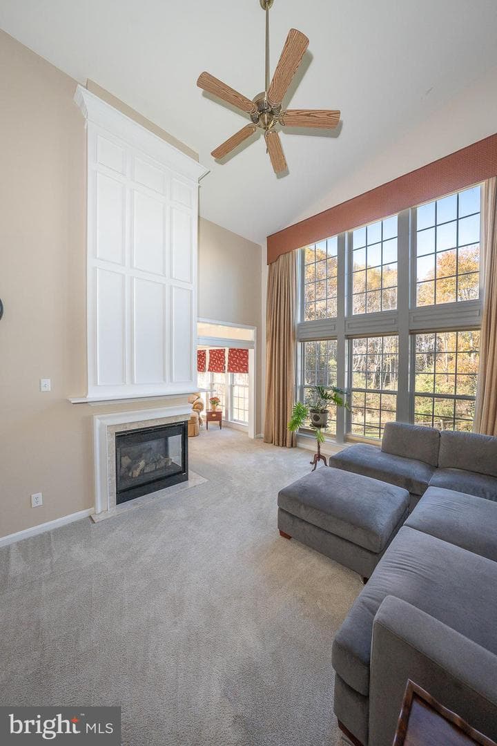 347 Astilbe Drive photo 52