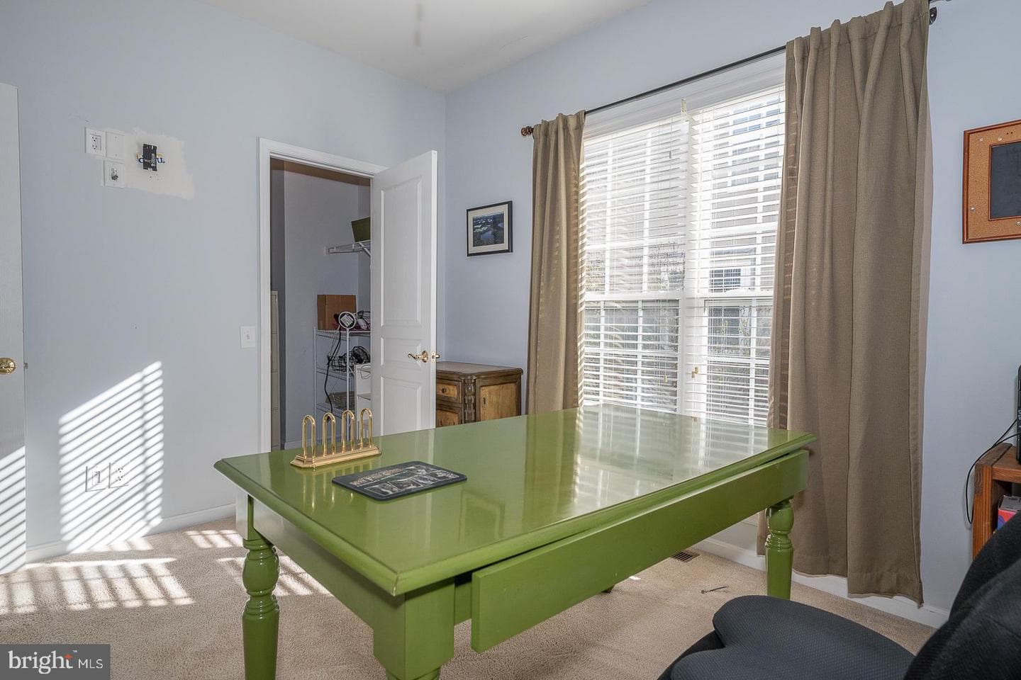 347 Astilbe Drive photo 68