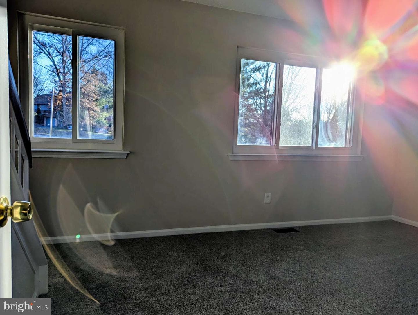 305 Paddock Drive photo 11