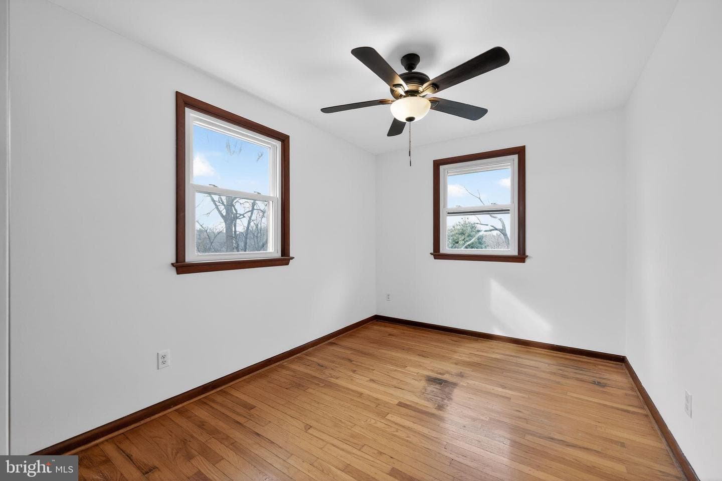 54 Hannum Drive photo 21