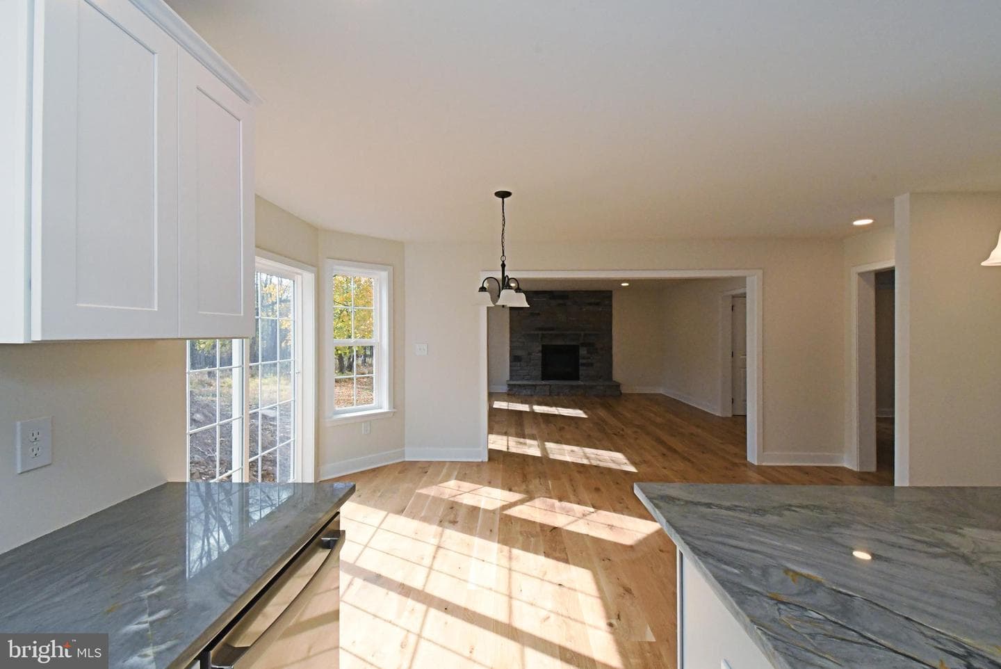 203 Pine Drive photo 18