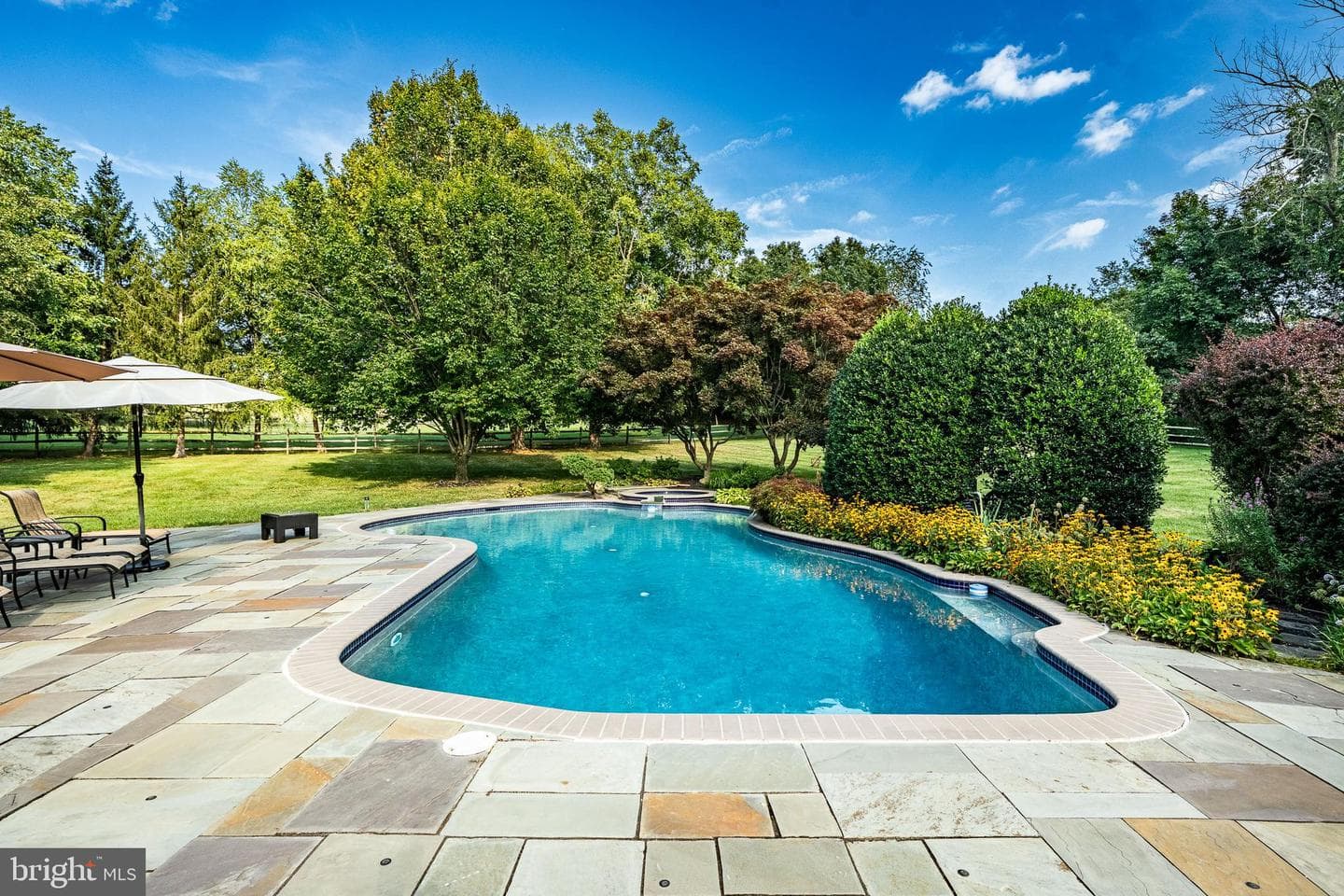 19 Founders Way photo 59