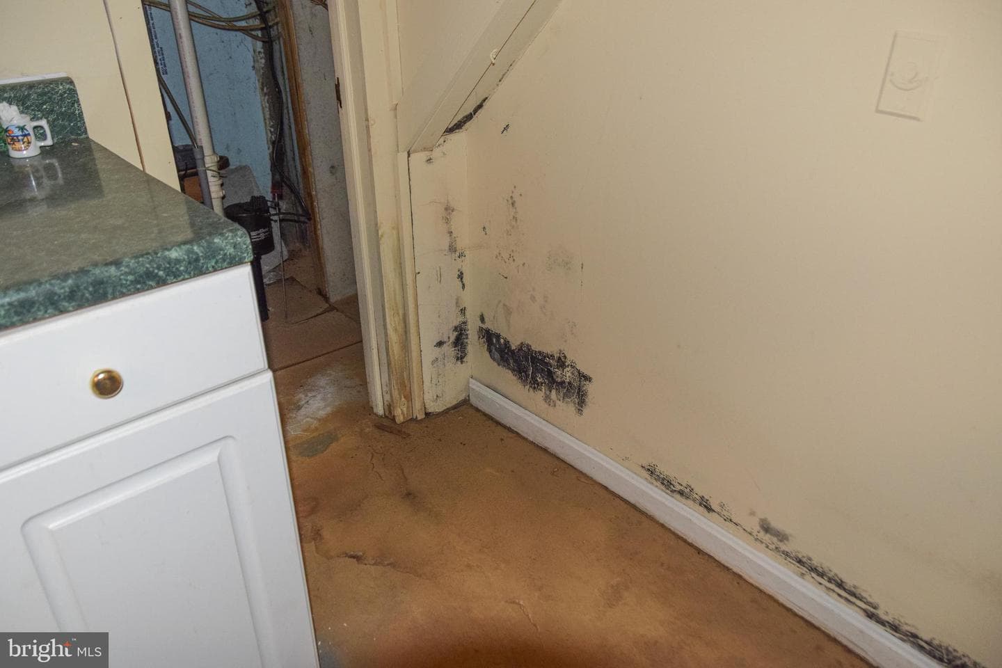 802 W Bridge Street photo 28