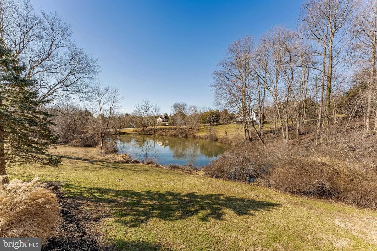 797 Tree Lane photo 84