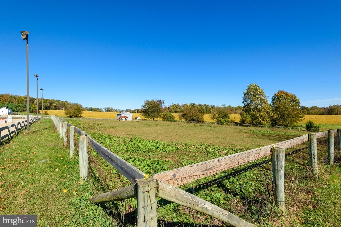 845 Waterway Road photo 32