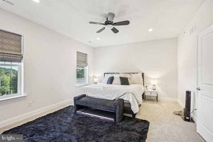 41 Midsummer Drive photo 15