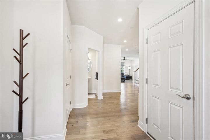 41 Midsummer Drive photo 5