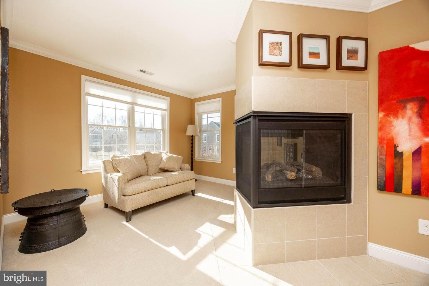 4009 Trillium Way photo 16