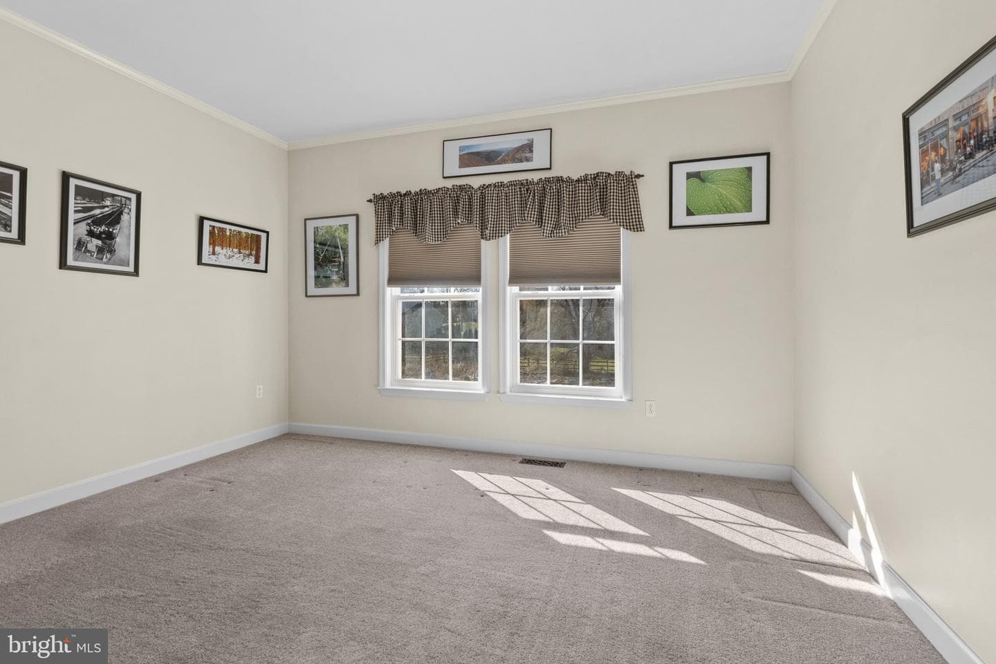 311 Cornerstone Court photo 23