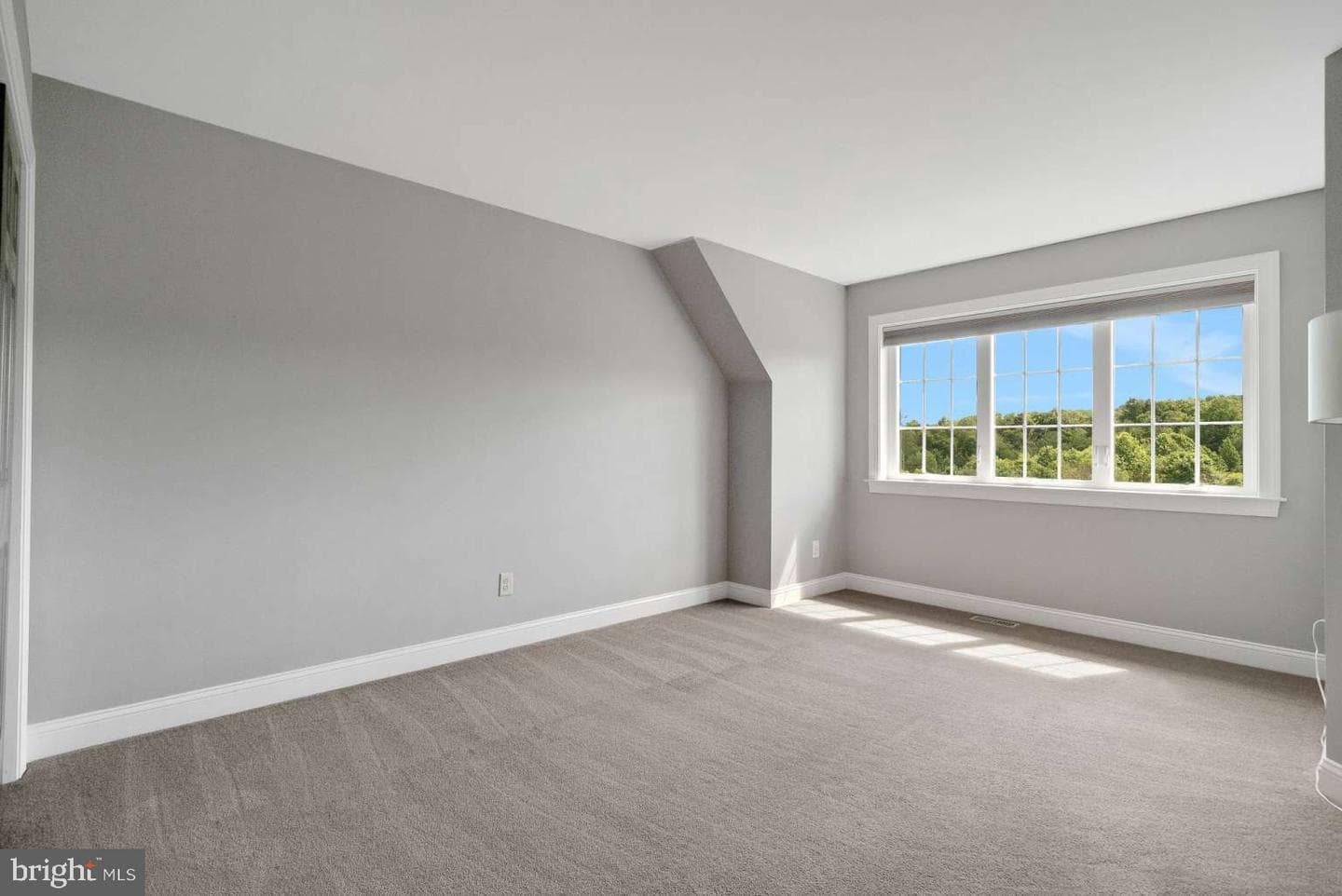 1006 Linden Avenue photo 19