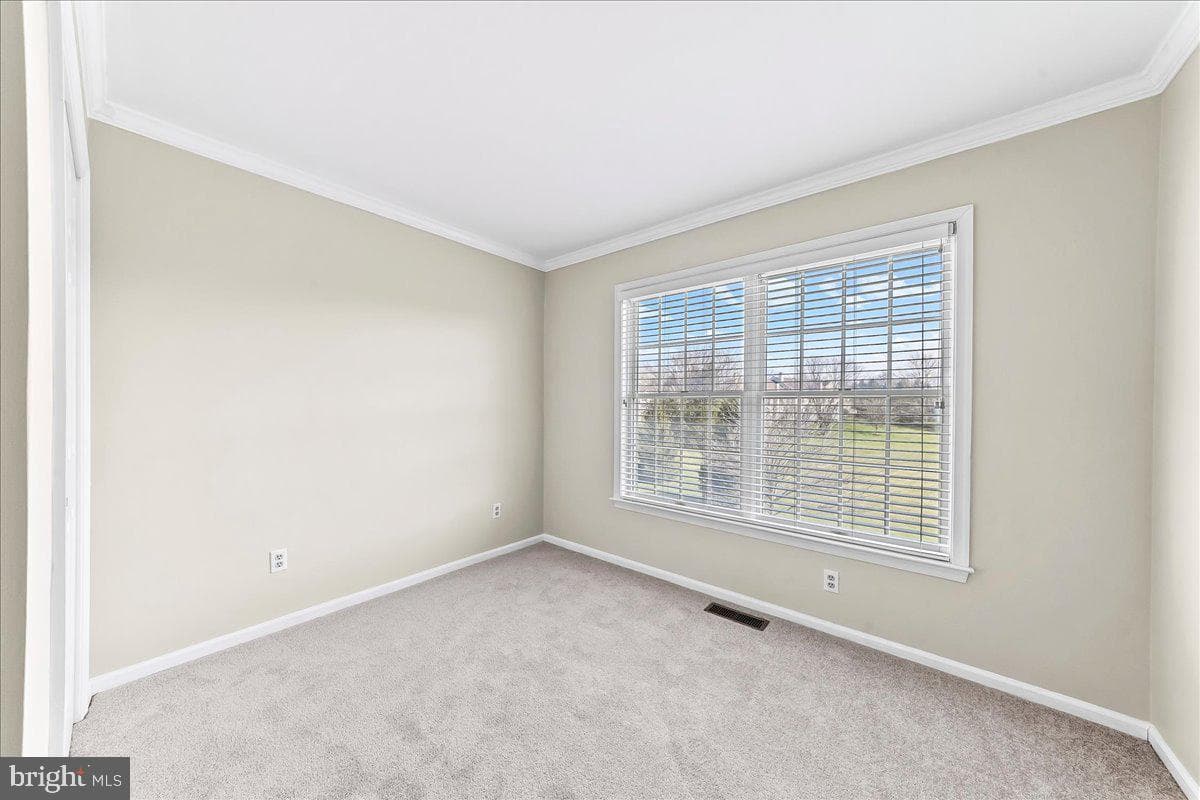 48 Buttonwood Drive photo 19