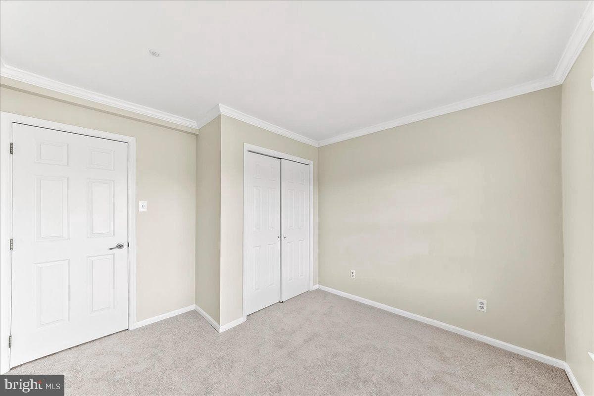 48 Buttonwood Drive photo 20