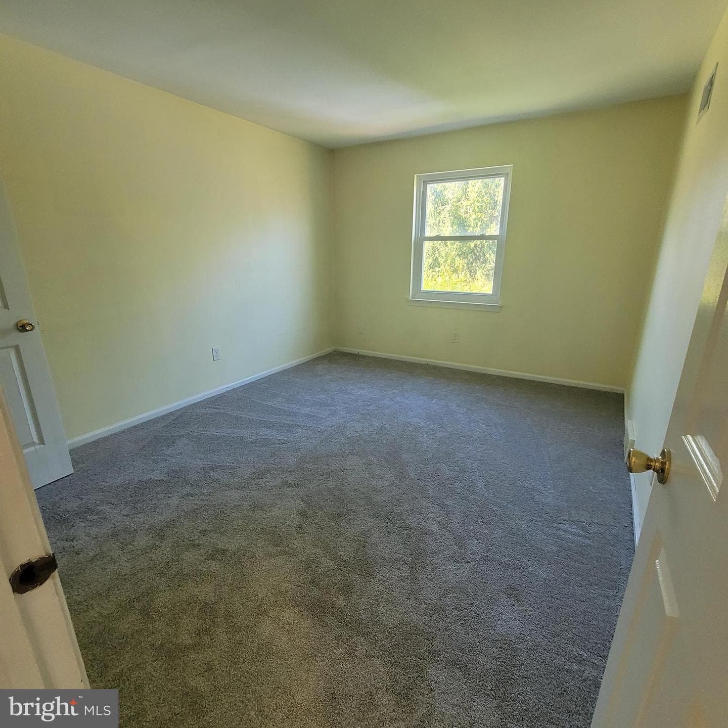 430 Carmarthen Court photo 21