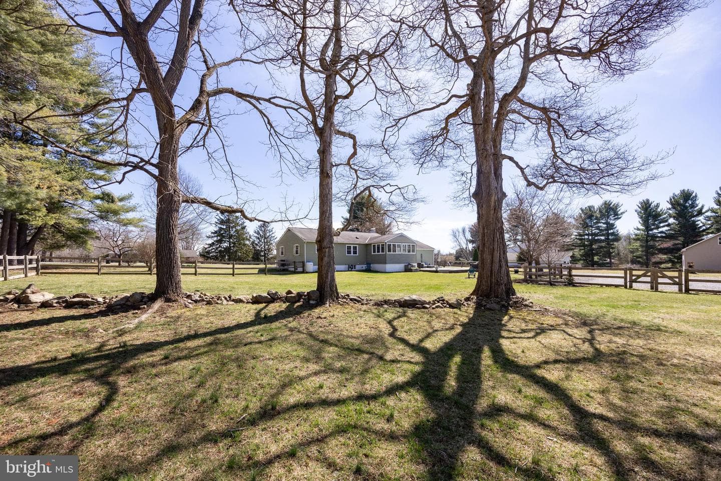 41 Denton Drive photo 15