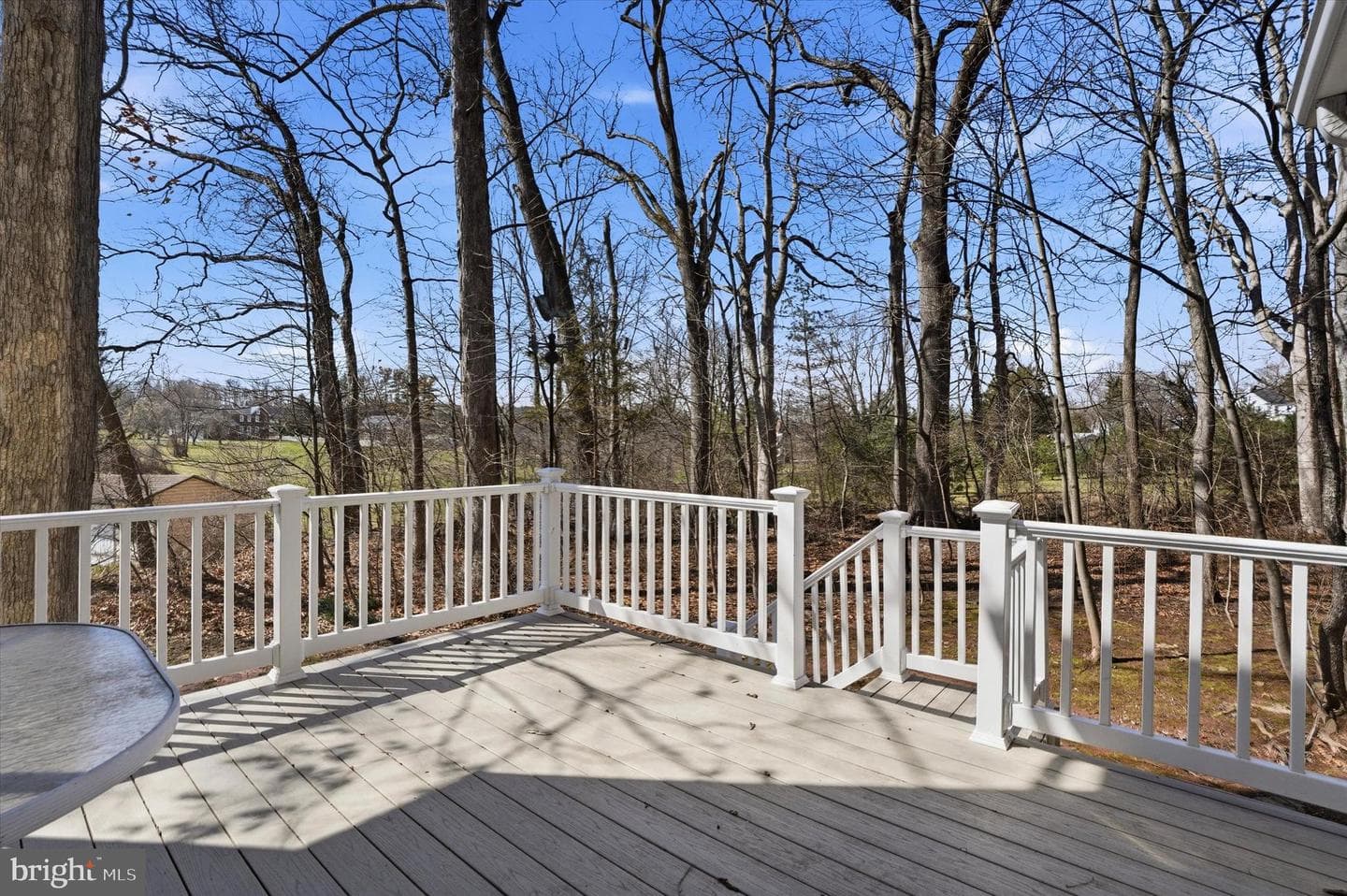863 Hunters Run Road photo 31