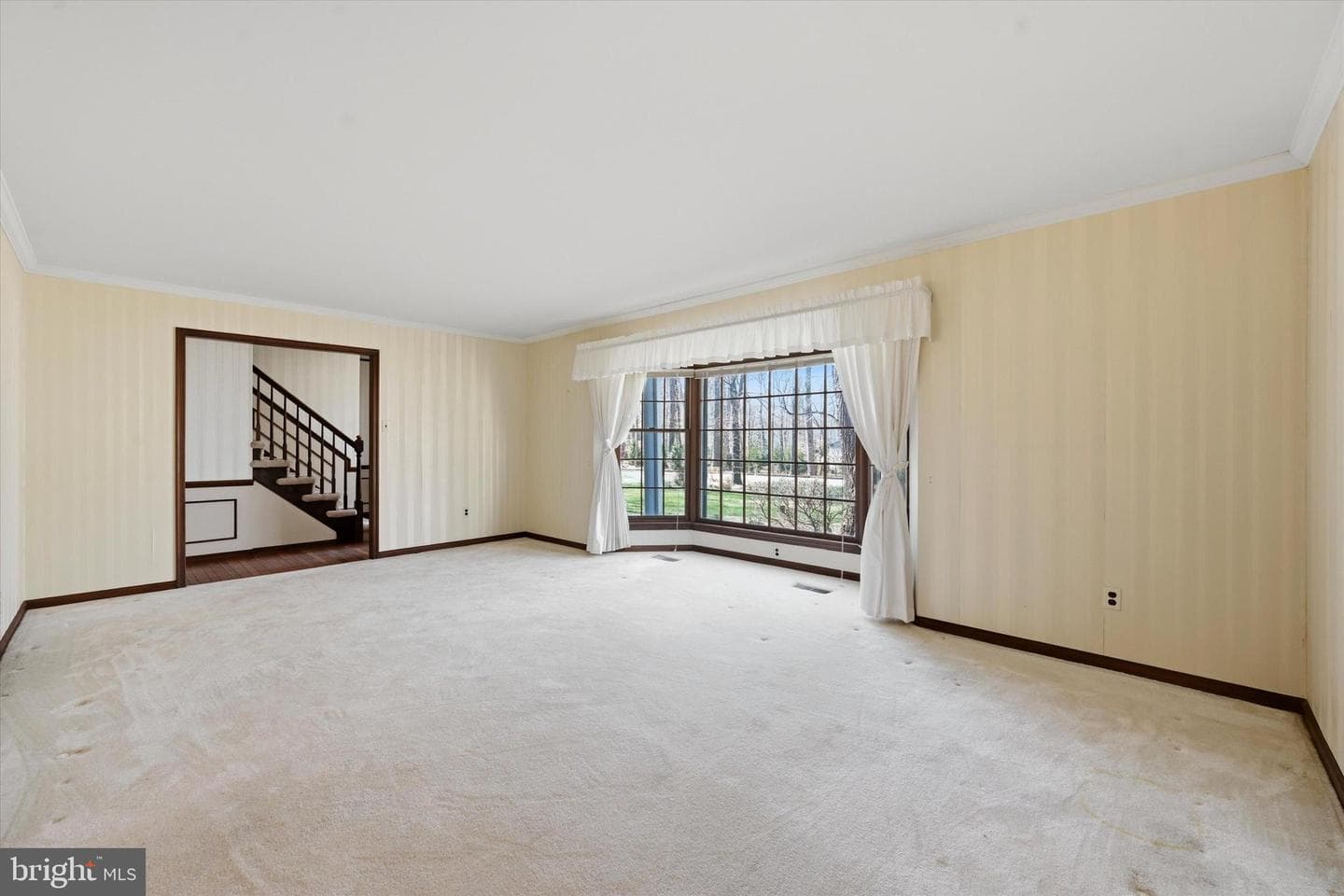 521 Susan Drive photo 2